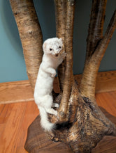 Load image into Gallery viewer, Ermine Entry/Accent Table ET-023